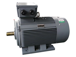 低壓永磁同步電機